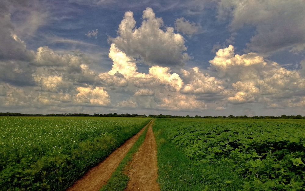 Photograph by Олег Радионов