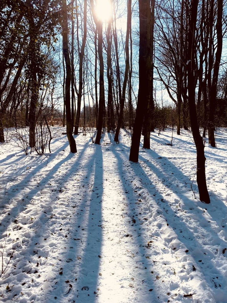 Photograph by Svetlana Kornilova