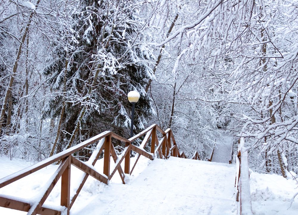 Photograph by Ольга Абрамова