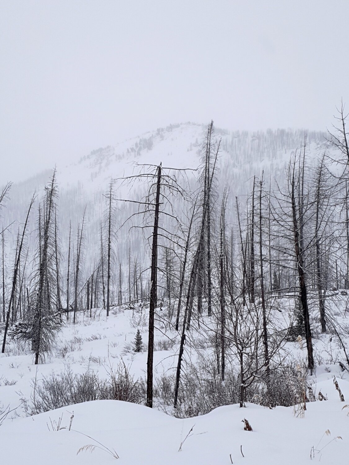 Photo #7157681