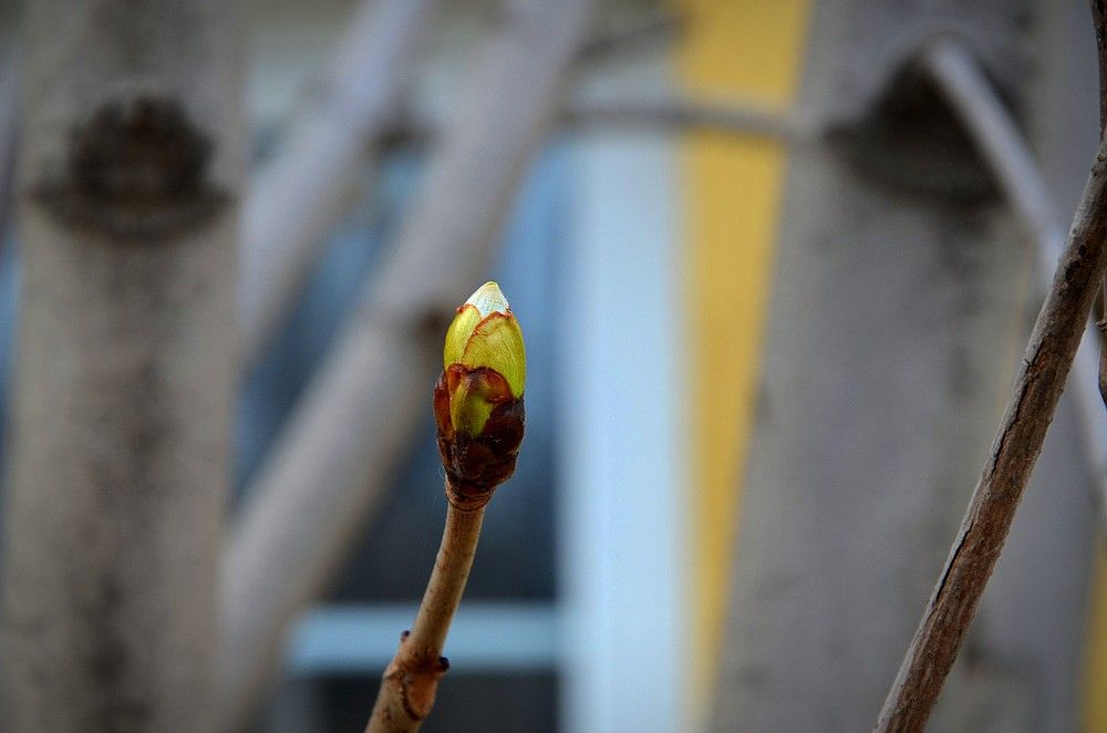 Photograph by Зинаида Фадеева