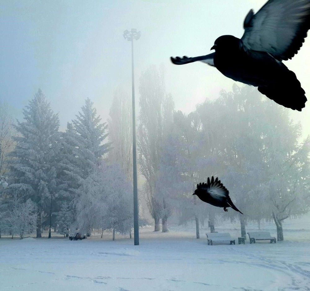 Photograph by Елена Ушакова