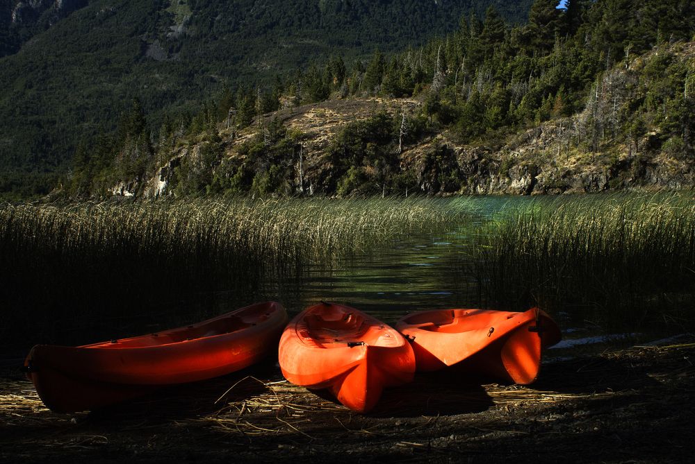 Photograph by Evelyne Rodrigues