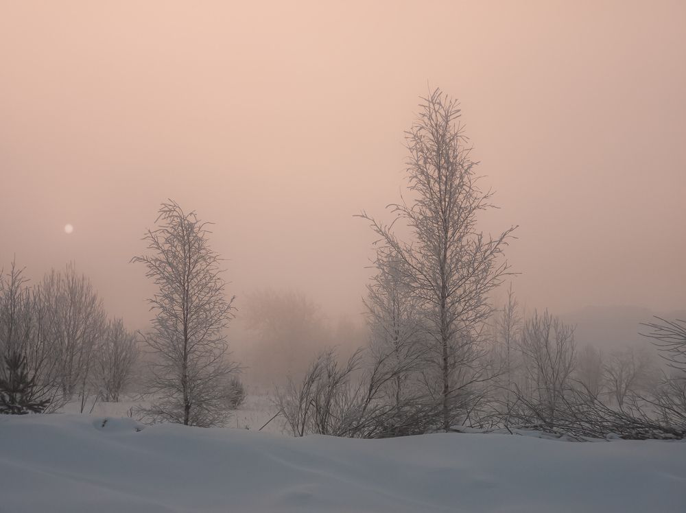 Photograph by Александр Безуглый