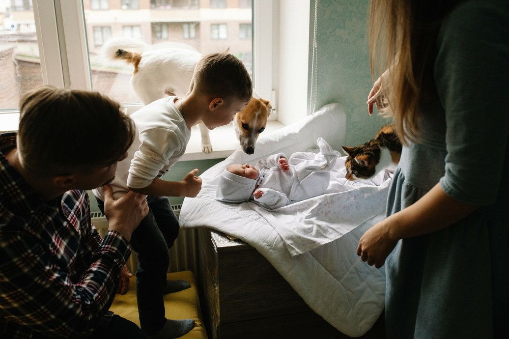 Photograph by Мартиросян Михаил