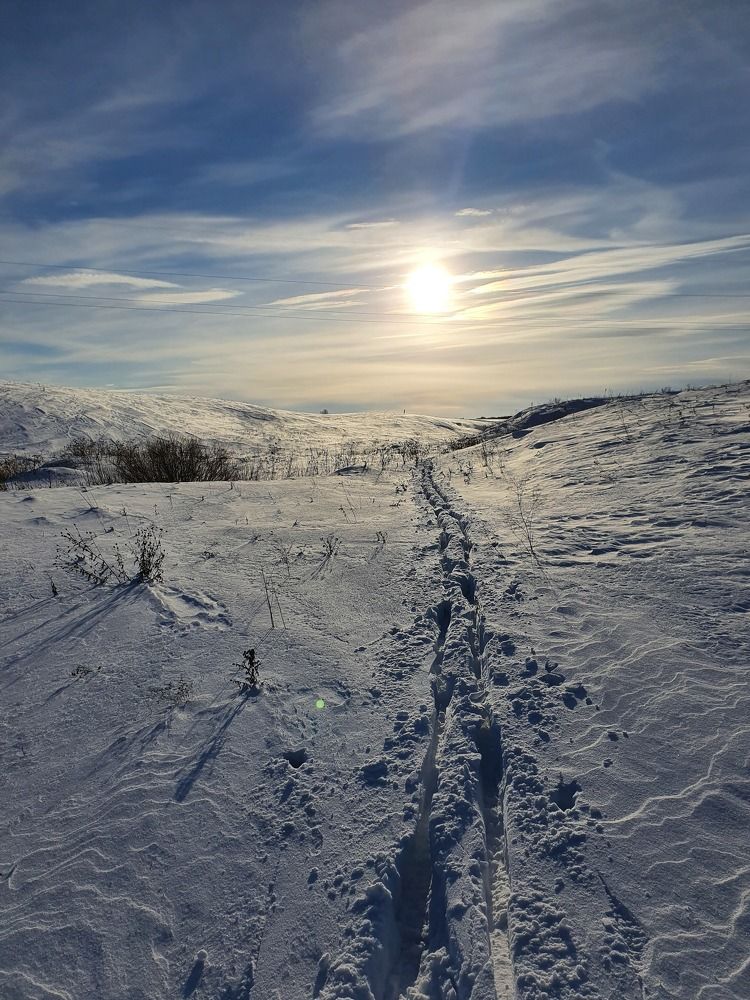 Photograph by Дмитрий