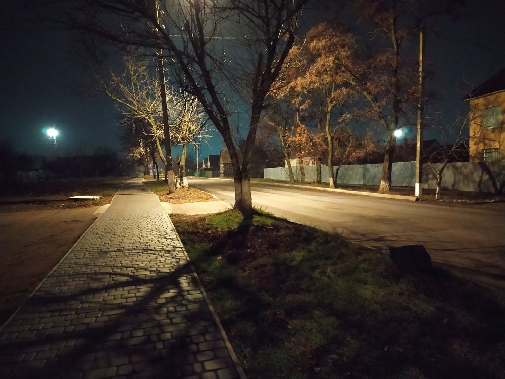 Photograph by Litvinova Ann