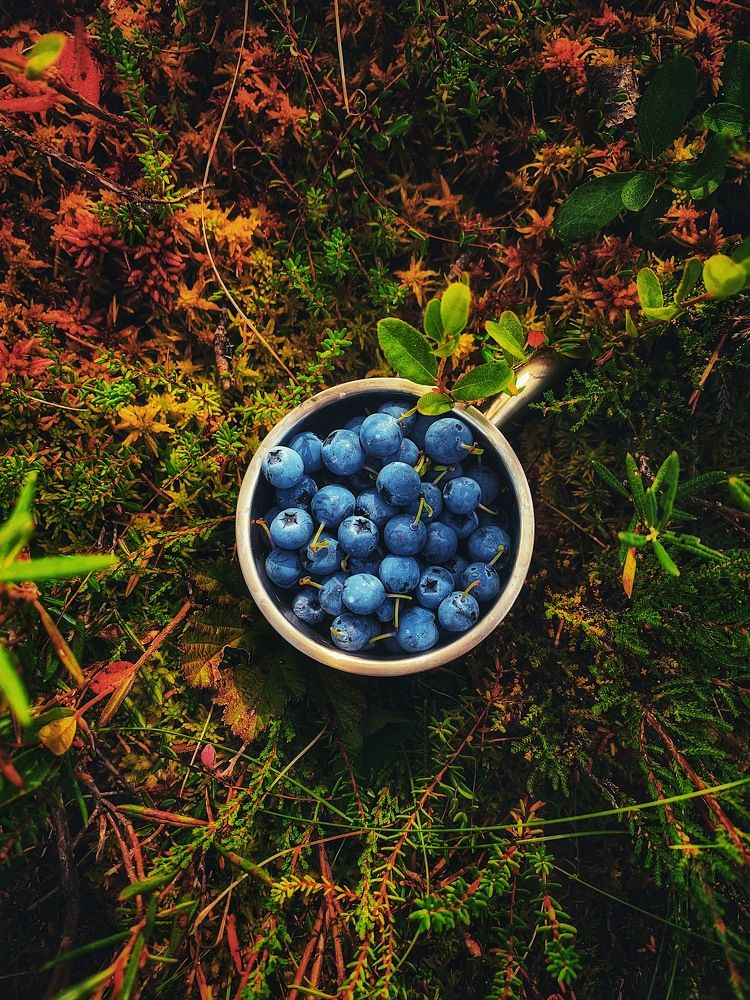 Photograph by Мария Василенко