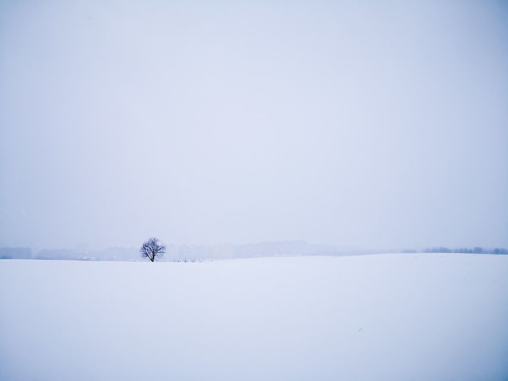 Photograph by Наталья