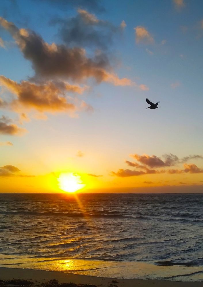 Photograph by Victor Manuel Torno