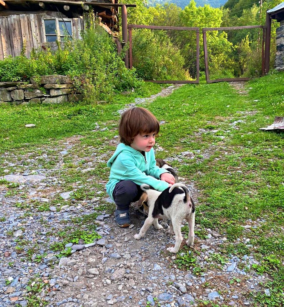 Photograph by рамаз хонелидзе