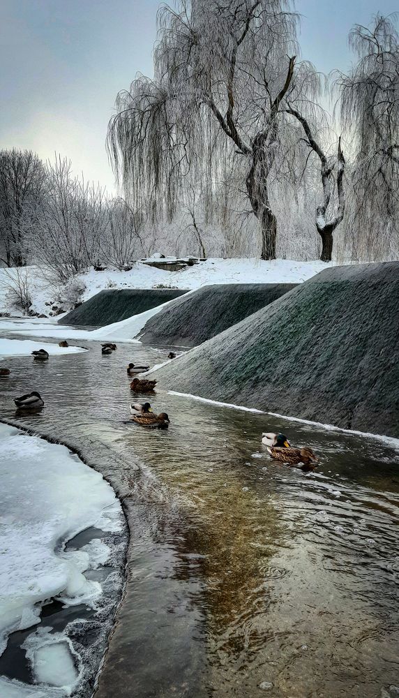 Photograph by Татьяна Яцкевич