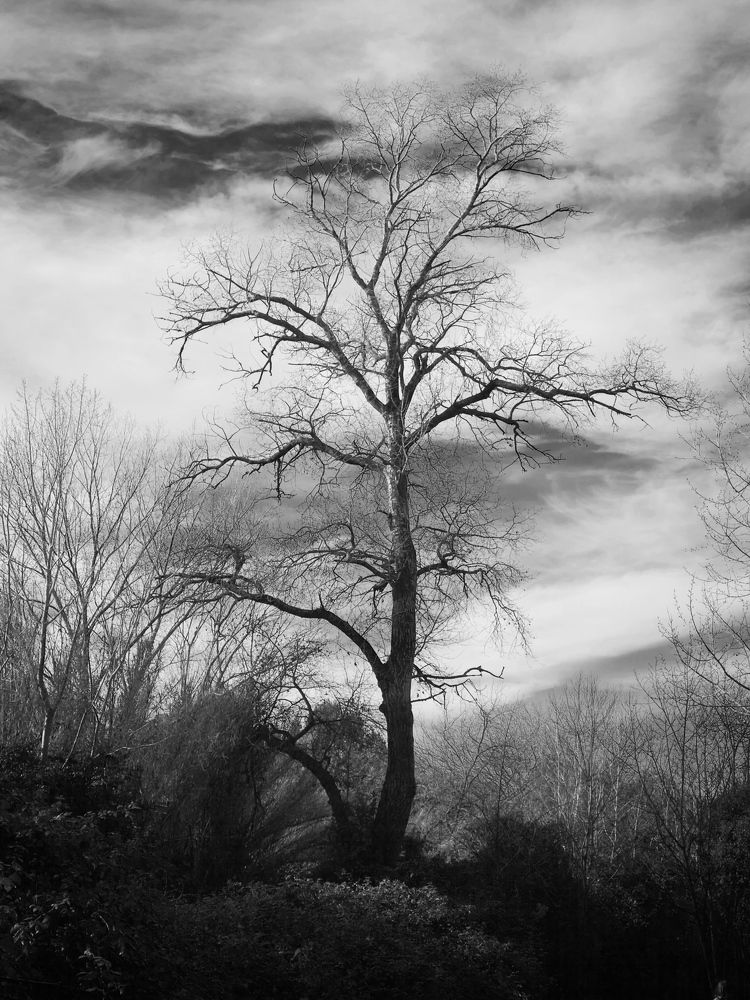 Photograph by Mihail Voronin