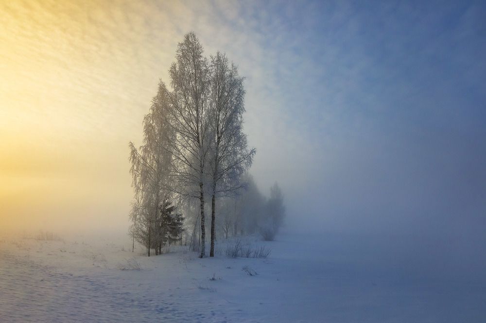 Photograph by Игнатьев Александр