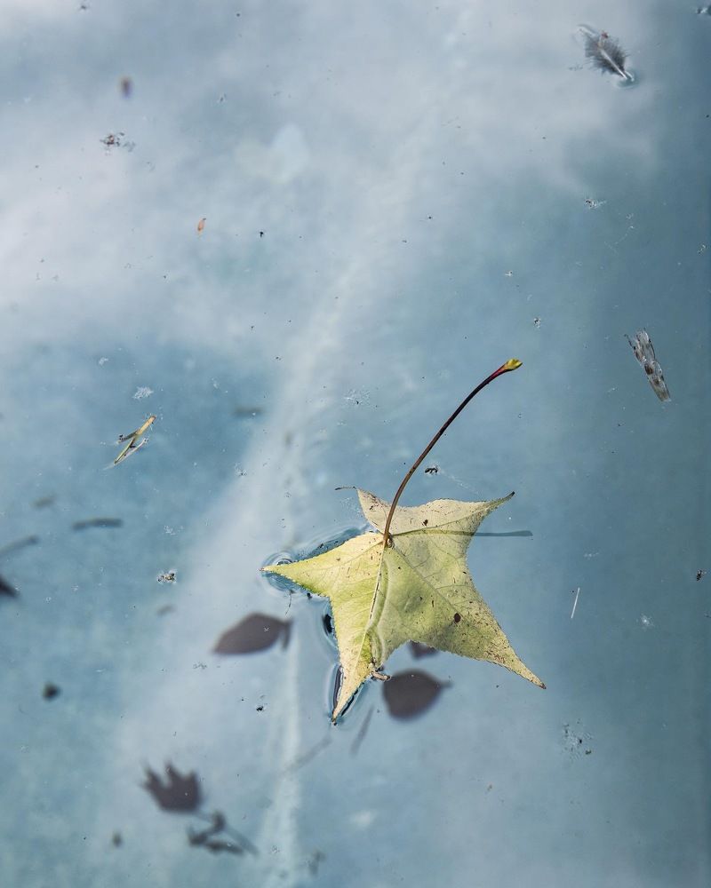 Photograph by Maria Mac lean