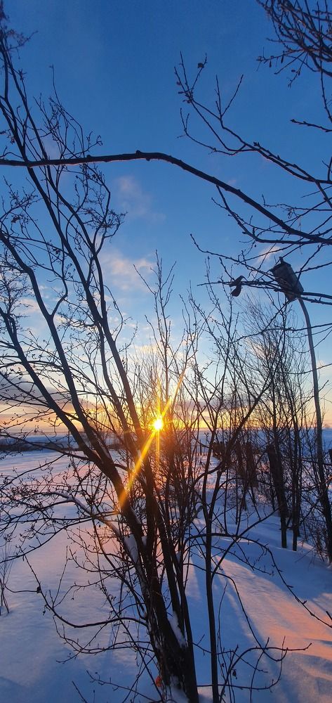 Photograph by Дмитрий