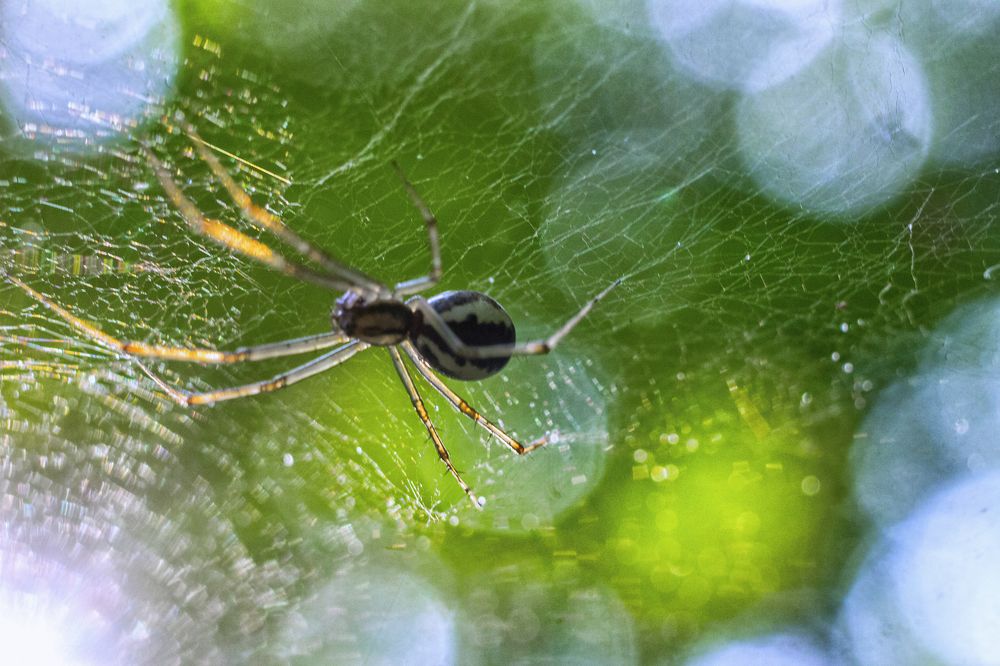 Photograph by Ирина Галеева