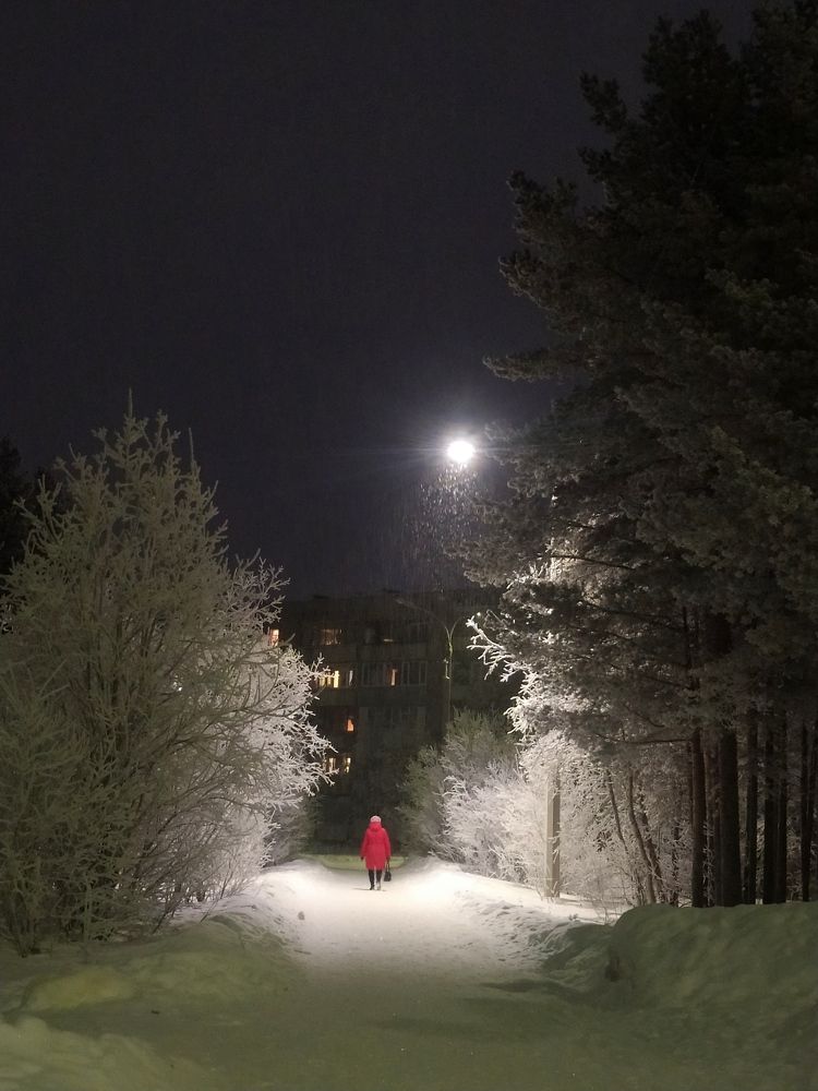 Photograph by Евгения Немчнова