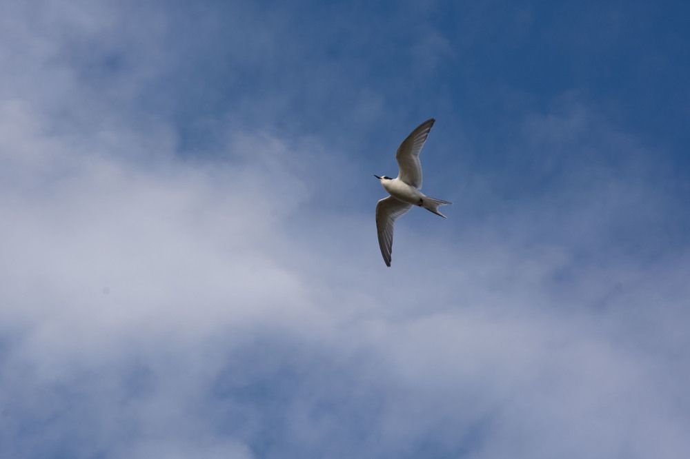 Фотография автора Геннадий Коробов