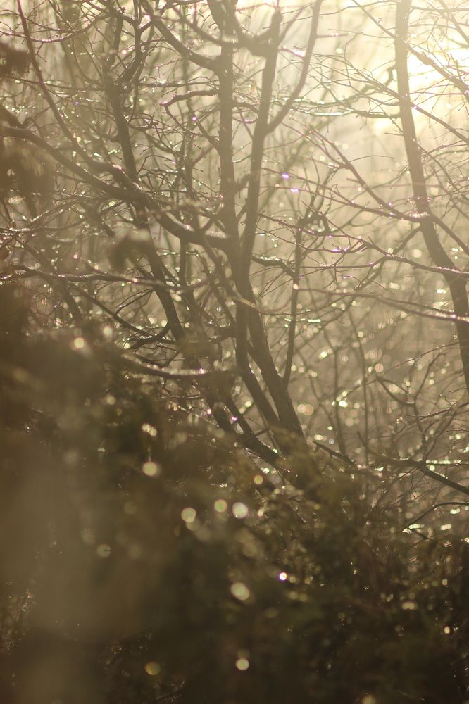 Photograph by Alyona Pravel’eva