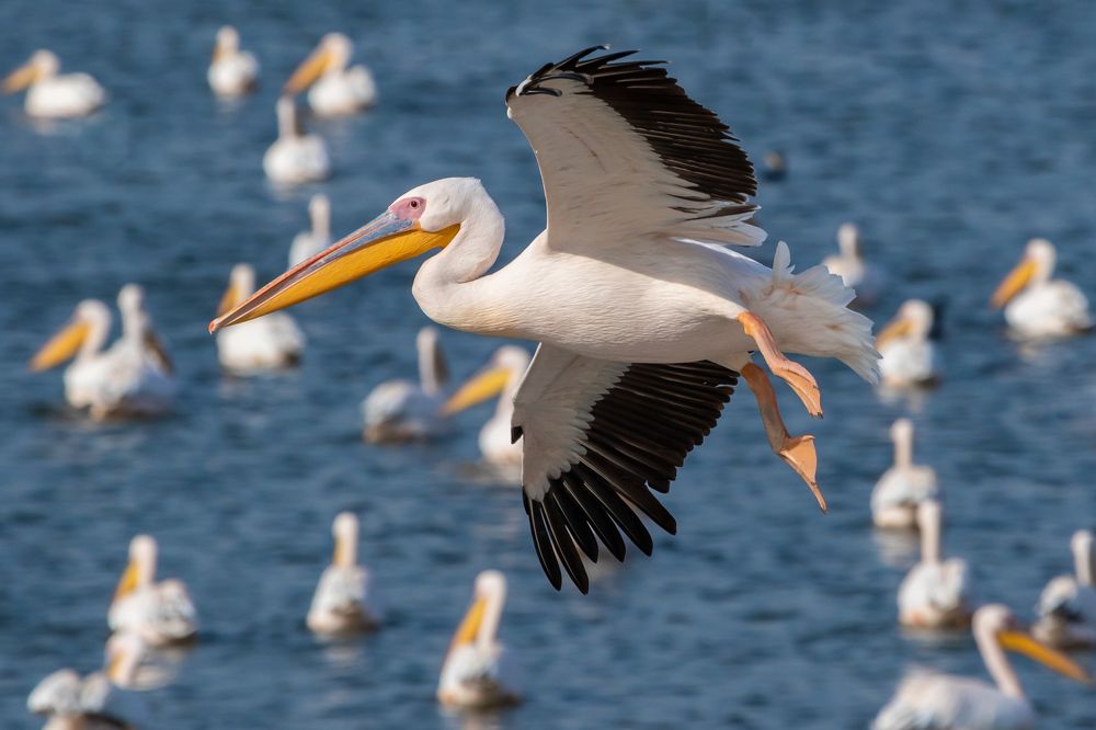 Приземление...