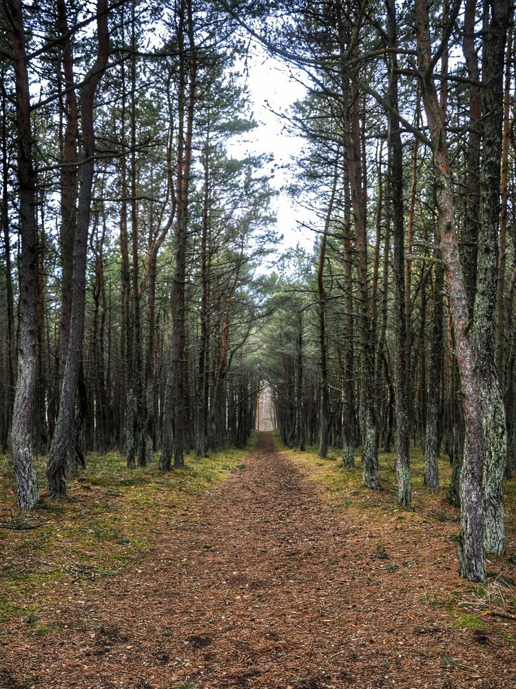 Photograph by Сергей Жигульский