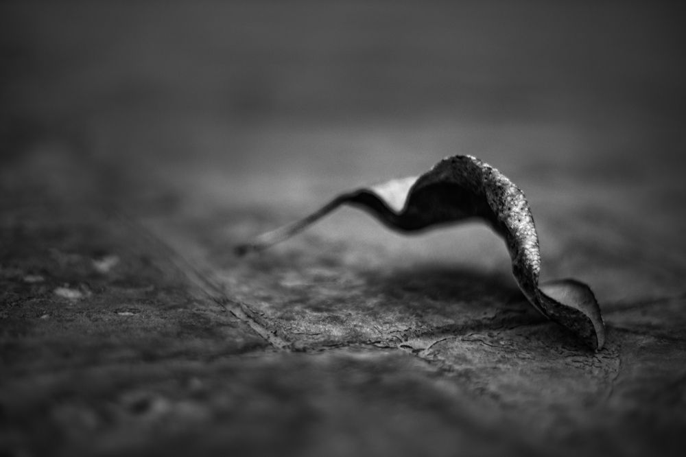 Photograph by Hassan Alawami