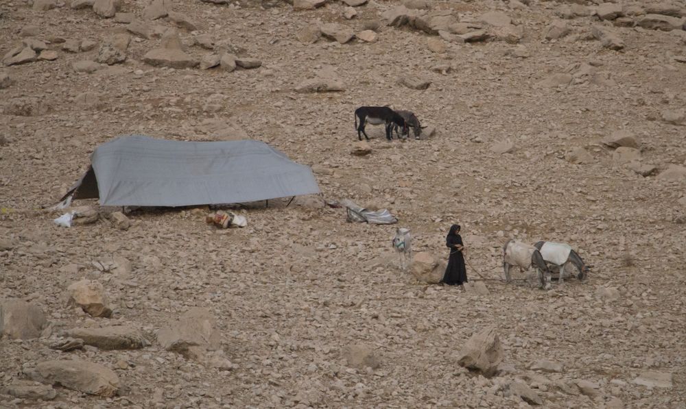 Photograph by Masoumeh Mahmoudi