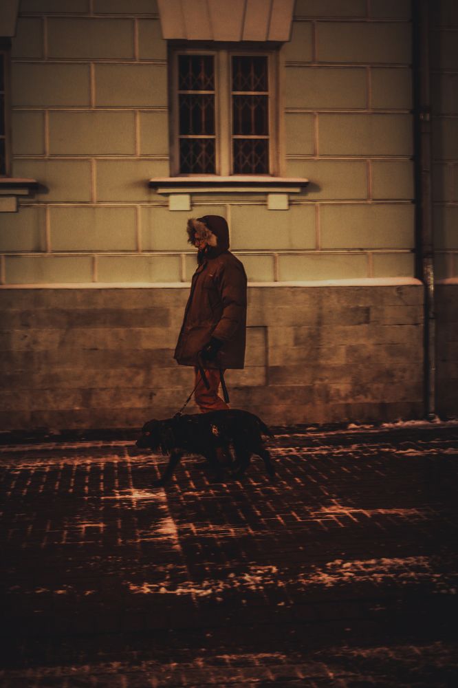 Photograph by Александр Лямцев