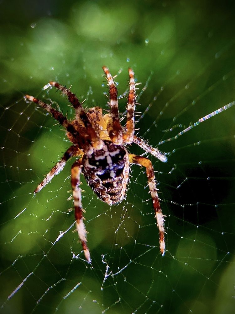 Photograph by Инна Попова