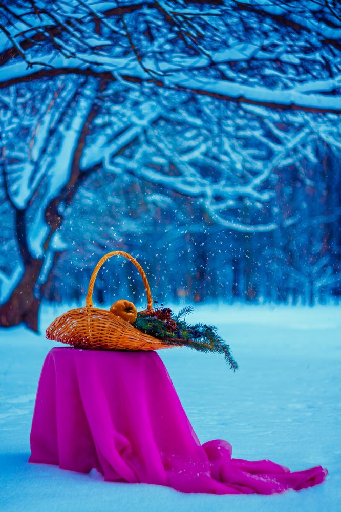 Фотография автора Анна Власенко