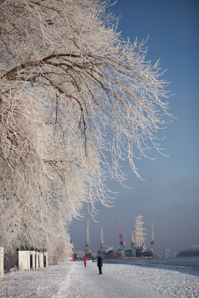 Photograph by Полина Новичихина