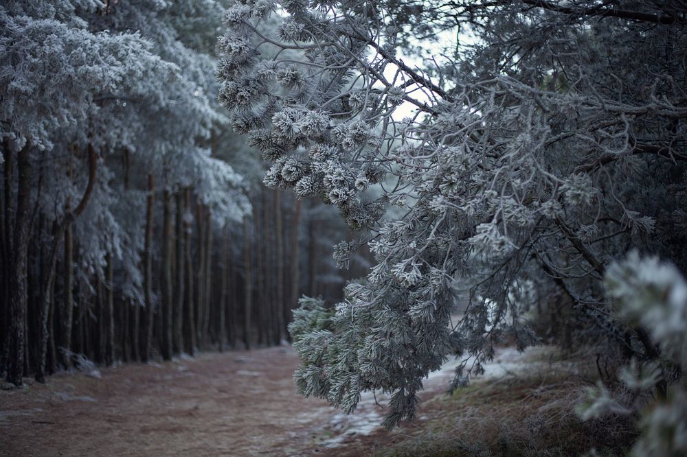 Photograph by Полина Новичихина