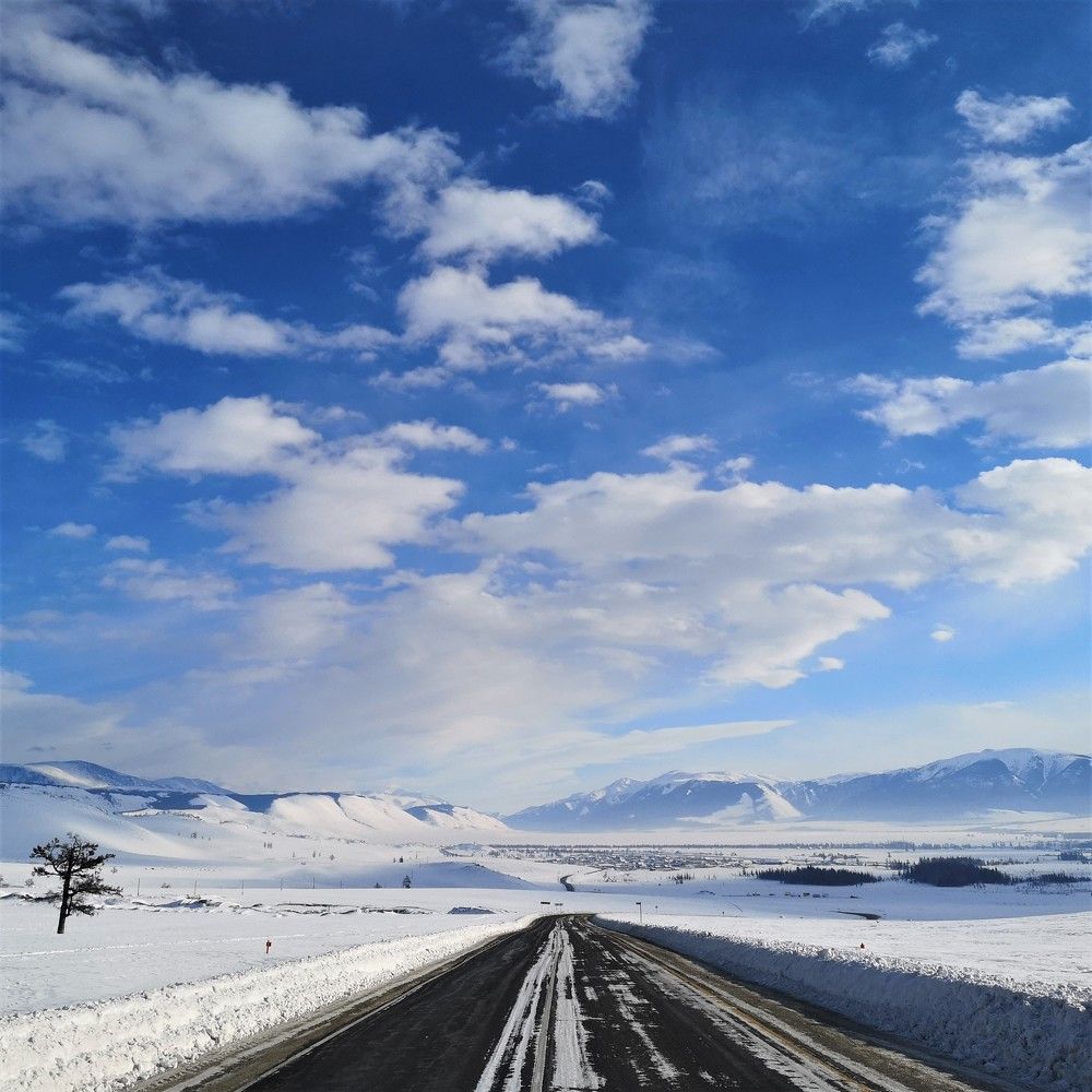 Photograph by Gromova