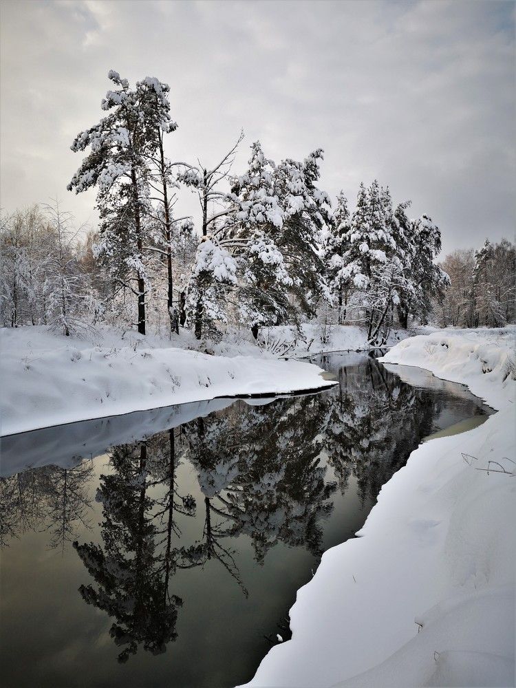 Photograph by Gromova