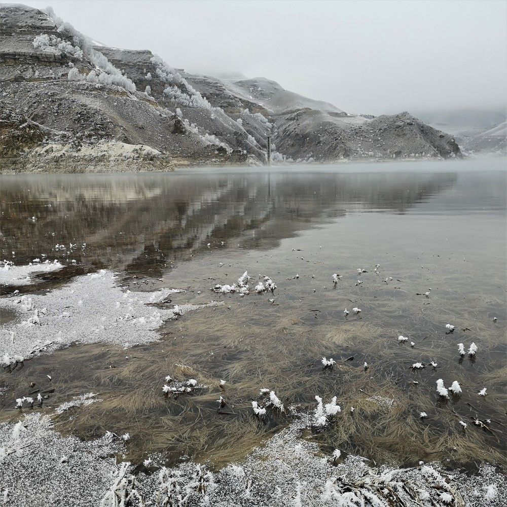 Photograph by Gromova