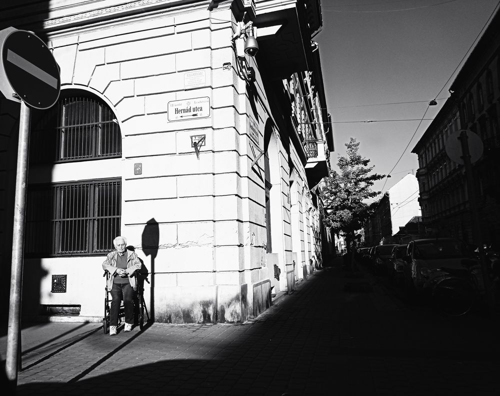 Photo #7158610