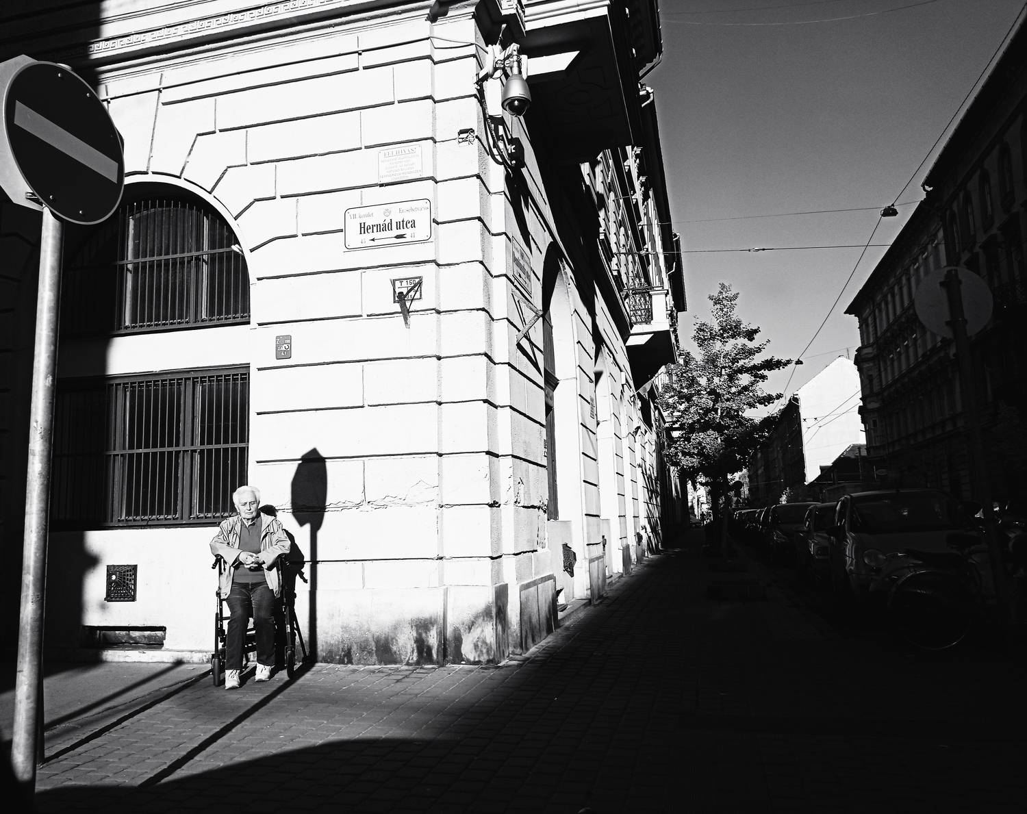 Photo #7158610