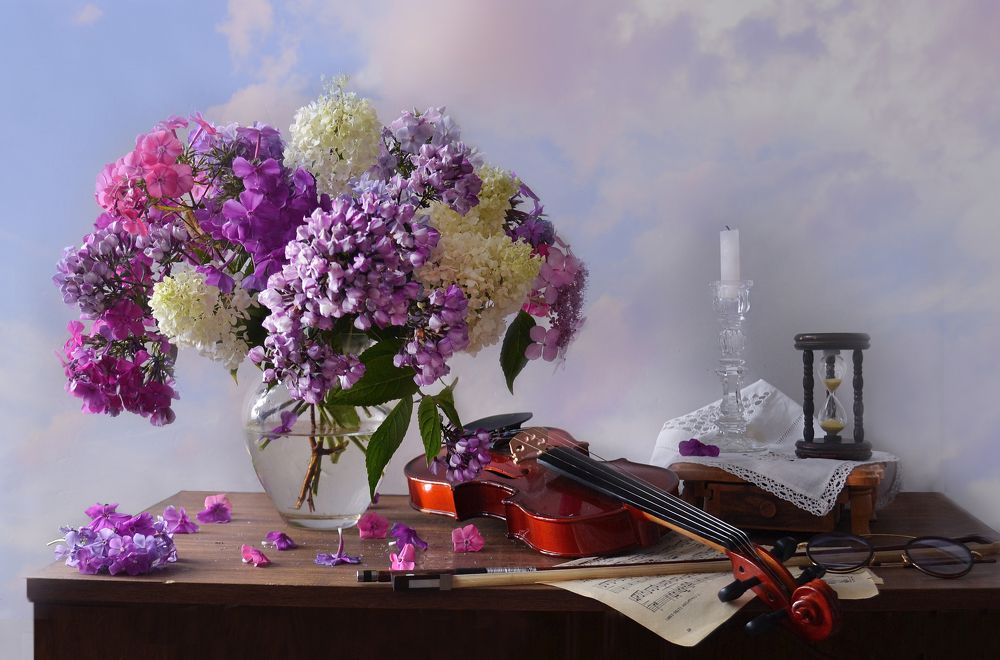 В облаках витают флоксы…