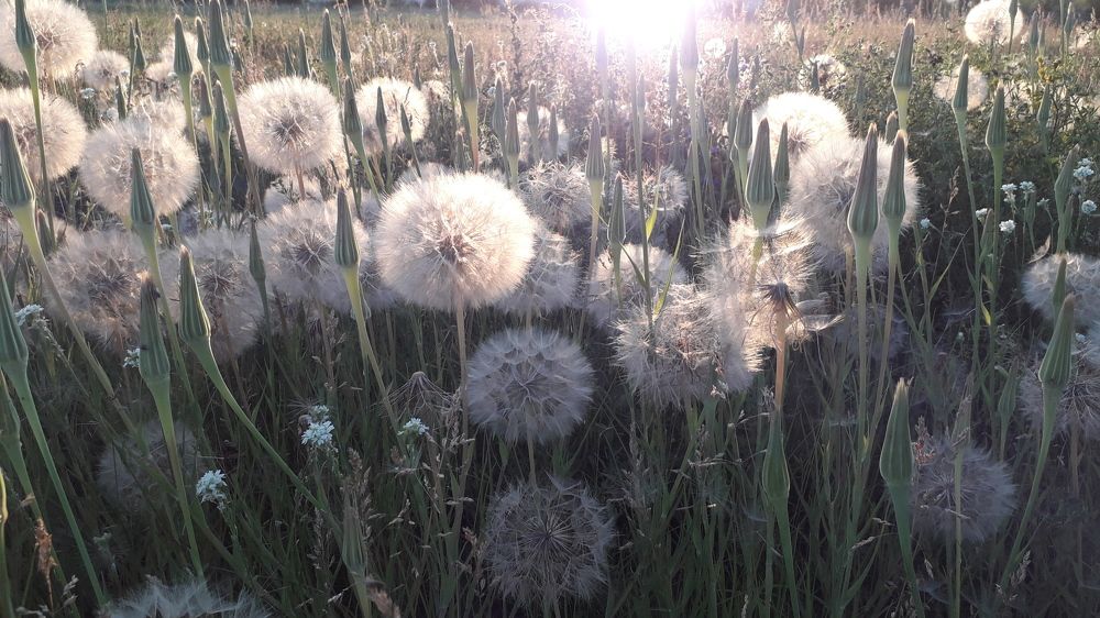 Photograph by Татьяна Дорожко