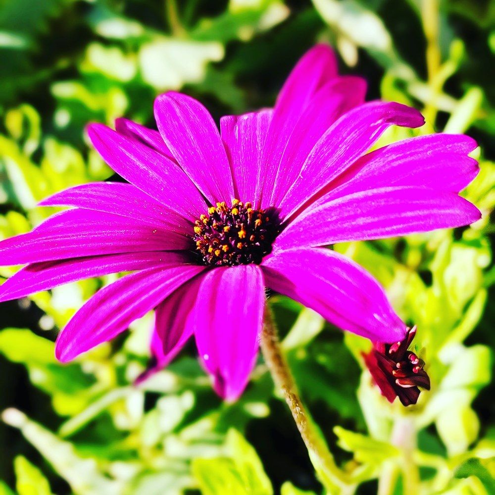 Photograph by Irena TURČINSKAJA