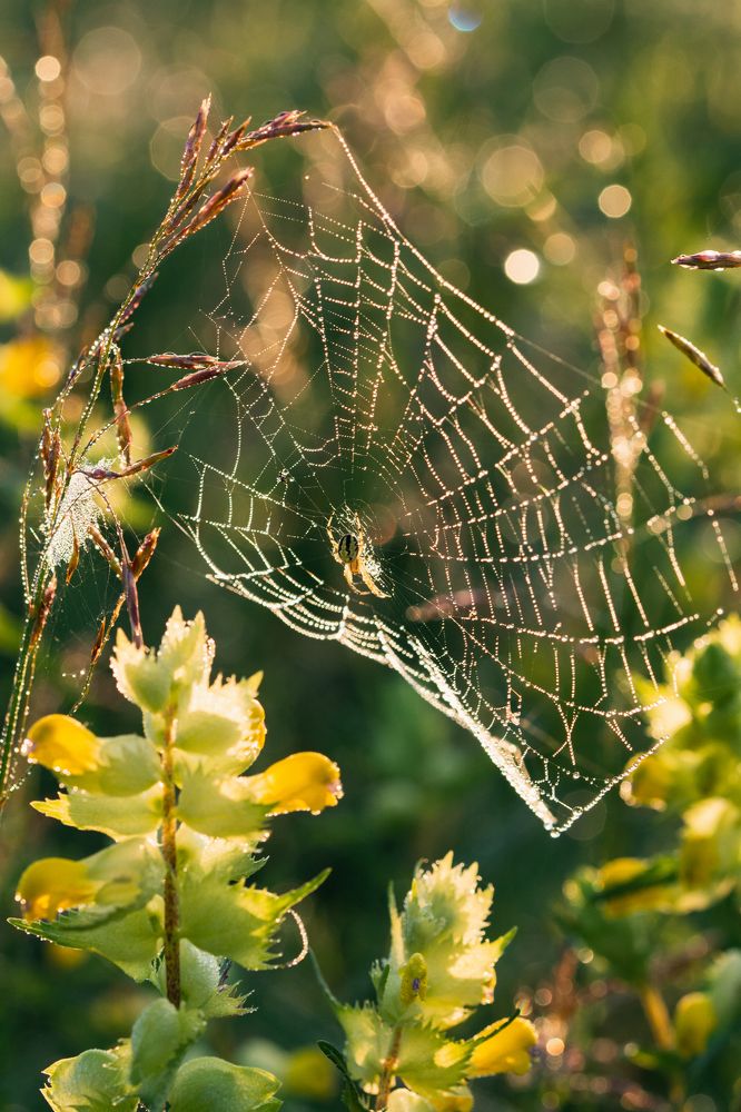 Фотография автора Анастасия