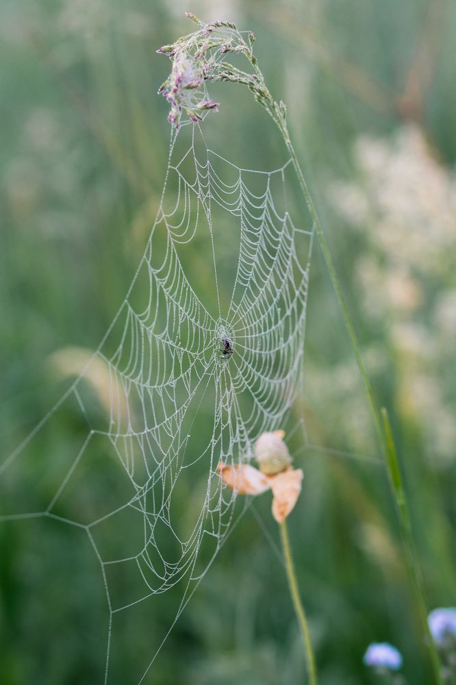 Фотография автора Анастасия