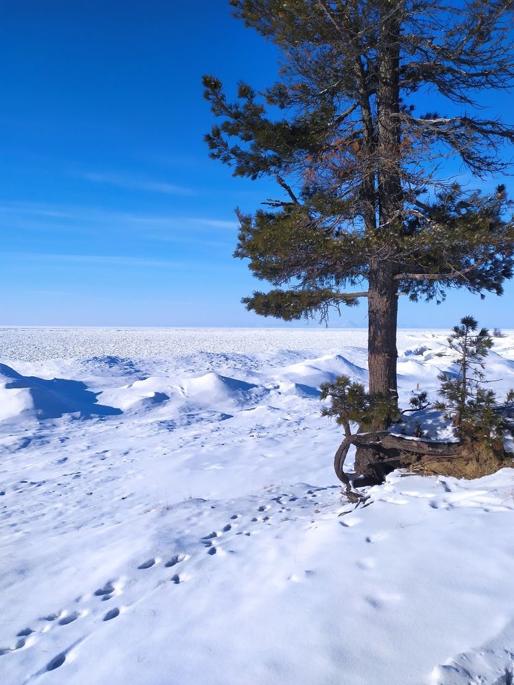 Photograph by Оюна Юндунова