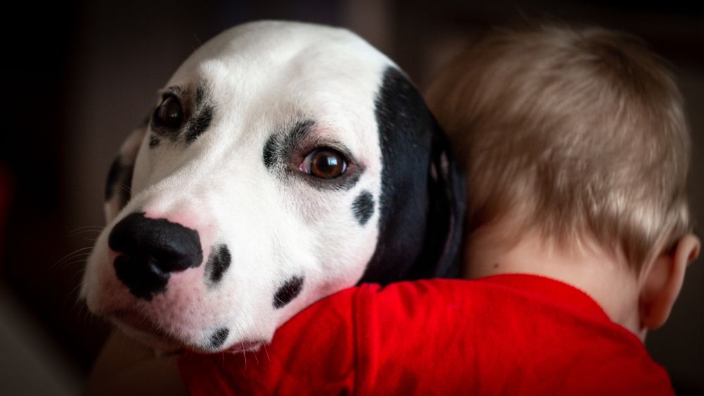 Photograph by Ignatov Yury