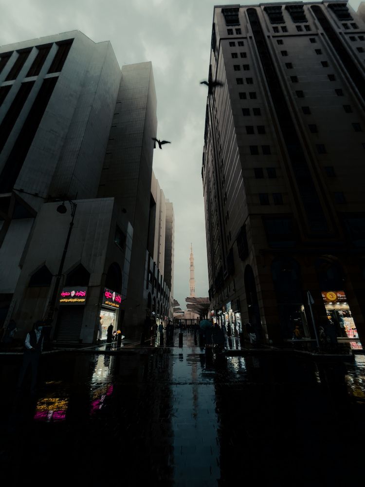 Photograph by Mohtadi