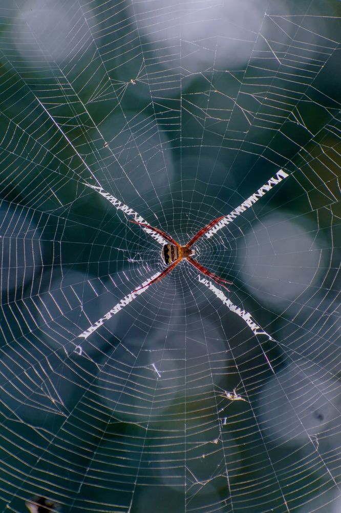 Photograph by Abhishek maurya