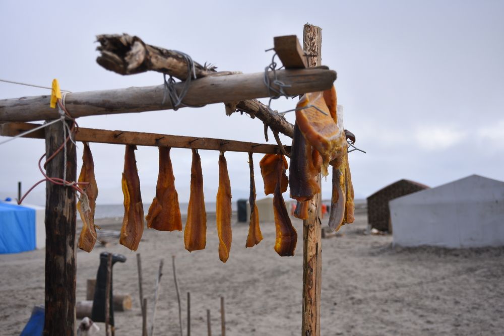 Photograph by Марина Калинина