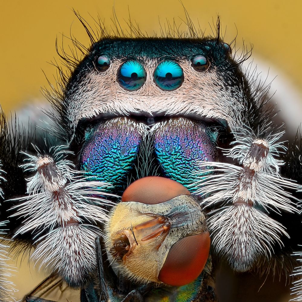 Photograph by Tinh Dang thanh