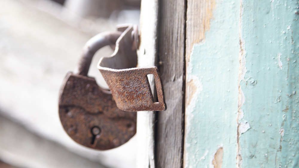 Photograph by Лариса Цепелева